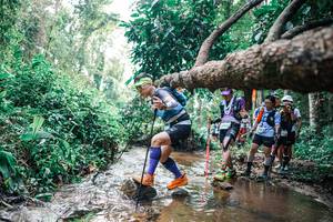 BIB: 
                            <button type="button" onclick="openModal(25374906)" class="btn btn-primary btn-sm float-right btn-popup" data-toggle="modal" data-target=".modal-high-quality">
                        <i class="fas fa-shopping-cart"></i> Add to Cart
                    </button>
                                            <button type="button" onclick="isThisMe(25374906, true)" class="btn btn-success btn-sm float-right btn-popup btn-isme hidden" data-toggle="tooltip" data-placement="bottom" title="นี่คือรูปของคุณใช่ไหม คลิกที่นี่เพื่อเอาเข้าอัลบั้ม">
                        <i class="fas fa-plus"></i> Add to album
                    </button>
                    <button type="button" onclick="isThisMe(25374906, false)" class="btn btn-warning btn-sm float-right btn-popup btn-isnotme hidden">
                        <i class="fas fa-ban"></i> Remove from album
                    </button>